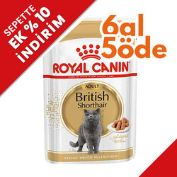 Royal Canin - Royal Canin Pouch British Shorthair Irkına Özel Yaş Kedi Maması 85 Gr - 6 Al 5 Öde