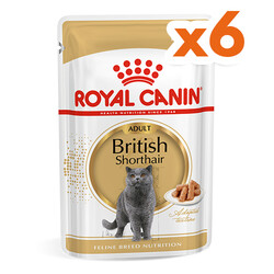 Royal Canin - Royal Canin Pouch British Shorthair Irkına Özel Yaş Kedi Maması 85 Gr x 6 Adet