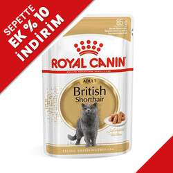 Royal Canin - Royal Canin Pouch British Shorthair Irkına Özel Yaş Kedi Maması 85 Gr