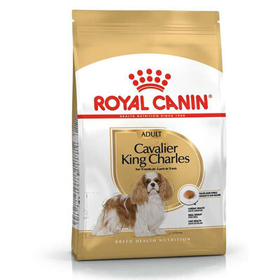 Royal Canin Cavalier King Charles Irk Köpek Maması 1,5 Kg + Temizlik Mendili