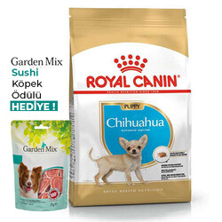 Royal Canin - Royal Canin Chihuahua Puppy Yavru Köpek Maması 1,5 Kg + Garden Mix Sushi Köpek Ödülü