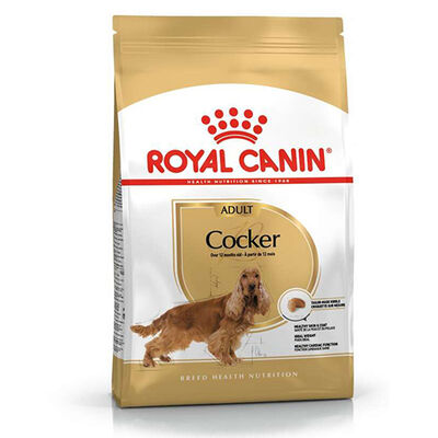 Royal Canin Cocker Irkına Özel Köpek Maması 3 Kg + Temizlik Mendili