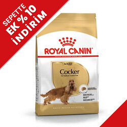 Royal Canin - Royal Canin Cocker Irkına Özel Köpek Maması 3 Kg + Temizlik Mendili