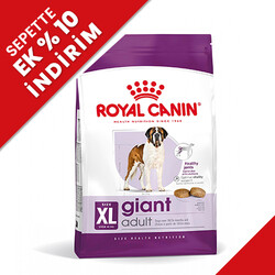 Royal Canin - Royal Canin Giant Adult İri Irk Köpek Maması 15 Kg + Temizlik Mendili