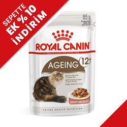 Royal Canin - Royal Canin Pouch Gravy Ageing +12 Yaşlı Kedi Yaş Maması 85 Gr