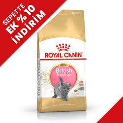 Royal Canin - Royal Canin Kitten British Shorthair Yavru Irk Kedi Maması 2 Kg + Temizlik Mendili