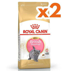 Royal Canin - Royal Canin Kitten British Shorthair Yavru Irk Kedi Maması 2 Kg x 2 Adet + Temizlik Mendili