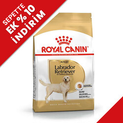 Royal Canin - Royal Canin Labrador Retriever Irk Köpek Maması 12 Kg + Temizlik Mendili