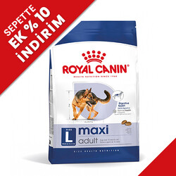 Royal Canin - Royal Canin Maxi Adult Büyük Irk Köpek Maması 15 Kg + Temizlik Mendili