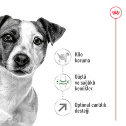 Royal Canin Mini Adult +8 Küçük Irk Yaşlı Köpek Maması 2 Kg + Temizlik Mendili - Thumbnail