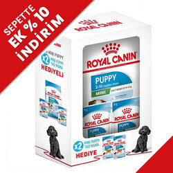 Royal Canin - Royal Canin BOX Mini Puppy Küçük Irk Yavru Köpek Maması 2 Kg + 2 Adet Royal Canin Yaş Mama