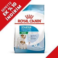 Royal Canin - Royal Canin Mini Starter Küçük Irk Anne ve Yavru Köpek Maması 4 Kg + Temizlik Mendili