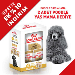 Royal Canin - Royal Canin BOX Poodle Köpek Irk Maması 3 Kg + 2 Adet Royal Canin Poodle 85 Gr Yaş Mama + Temizlik Mendili