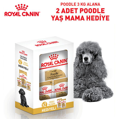 Royal Canin BOX Poodle Köpek Irk Maması 3 Kg + 2 Adet Royal Canin Poodle 85 Gr Yaş Mama + Temizlik Mendili