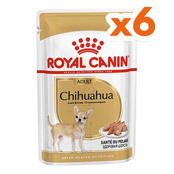 Royal Canin - Royal Canin Pouch Chihuahua Irkı Özel Yaş Köpek Maması 85 Gr x 6 Adet