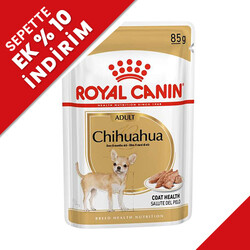 Royal Canin - Royal Canin Pouch Chihuahua Irkı Özel Yaş Köpek Maması 85 Gr