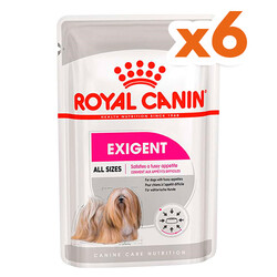 Royal Canin - Royal Canin Pouch Exigent Adult Tüm Irklar İçin Köpek Yaş Maması 85 Gr x 6 Adet