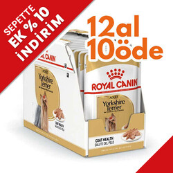 Royal Canin - Royal Canin Pouch Yorkshire Terrier Irkı Özel Yaş Köpek Maması 85 Gr - BOX - 12 Al 10 Öde