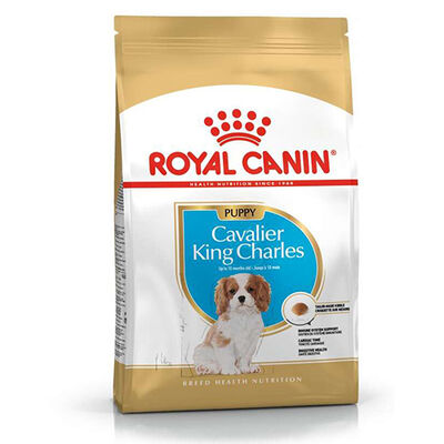 Royal Canin Cavalier King Charles Puppy Yavru Köpek Maması 1,5 Kg + Temizlik Mendili