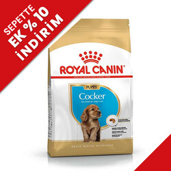 Royal Canin - Royal Canin Cocker Puppy Irk Yavru Köpek Maması 3 Kg + Temizlik Mendili