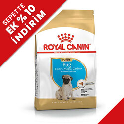 Royal Canin - Royal Canin Pug Puppy Irkına Özel Yavru Köpek Maması 1,5 Kg + Temizlik Mendili