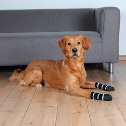 Trixie Köpek Çorabı Kaymaz M - Large, 2 Adet - Thumbnail